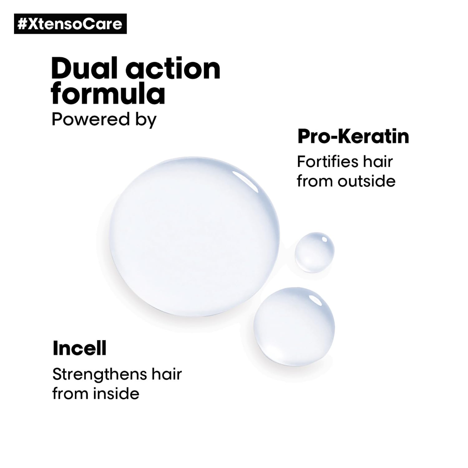 L'OREAL PROFESSIONNEL PARIS Xtenso Care Shampoo For Straightened Hair, 250 ML |Shampoo for Starightened Hair|Shampoo with Pro Keratin & Incell Technology Shampoo from loreal pro paris