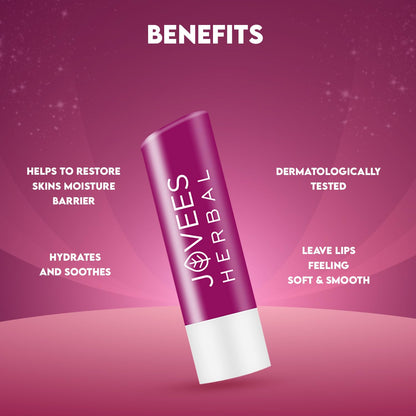 Jovees Herbal Berry Lip Balm with Hyaluronic Acid | 24 Hour Hydration | Rejuvenates Dry and Chapped Lips | Gives Soft & Supple Lips 5g  from JOVEES