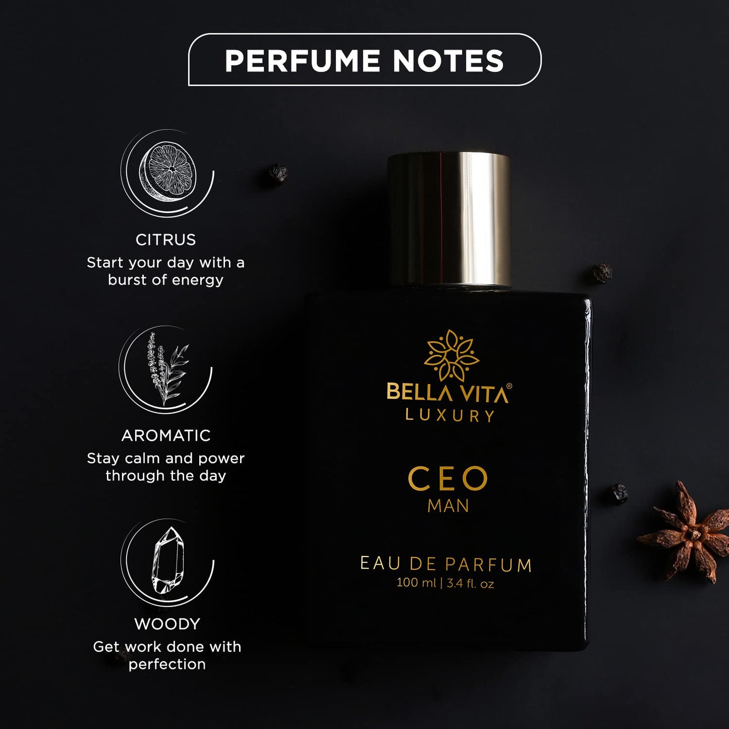 Bella Vita Luxury CEO MAN Eau De Parfum Perfume for Men with Lemon, Lavender, Tonka & Agarwood|Woody & Spicy Long Lasting EDP Fragrance Scent, 100 Ml perfume from Bella Vita Luxury