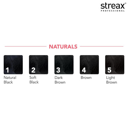 Streax Professional Argan Secrets Permanent Hair Colourant Cream - Soft Black 2 (Enriched with Argan Oil) For All hair types ; 90 gm  from Streax Professional