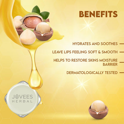 Jovees Herbal Shea Butter Healing Lip Balm | 24 Hour Hydration | Heals Dry and Flaky Lips | Gives Soft and Supple Lips 8g  from JOVEES