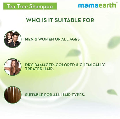 Mamaearth Tea Tree Anti Dandruff Shampoo, With Tea Tree & Ginger Oil, 250ml Shampoo from mamaearth