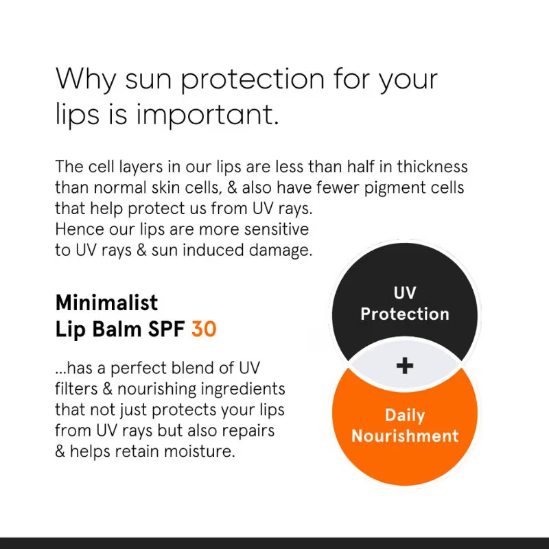 Minimalist SPF 30 Lip Balm (8 g) lip balm from HAVIN